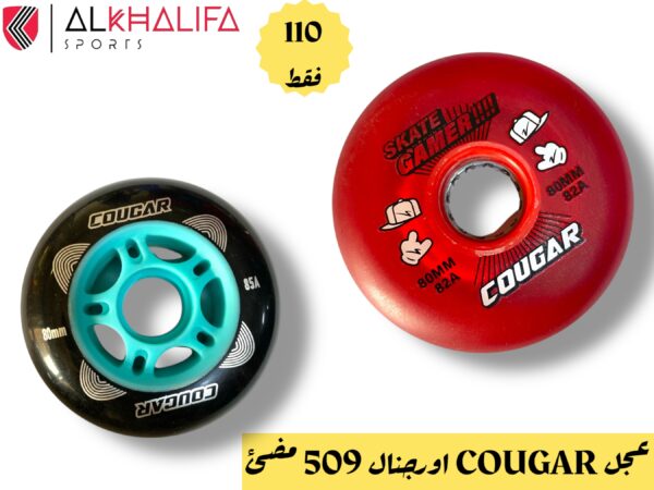 IMG_3185 عجل cougar اورجنال 509 مضئ