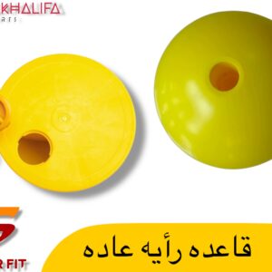 قاعده رايه عاديه